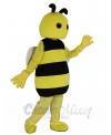 Bee mascot costume