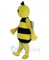 Bee mascot costume