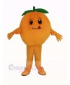Orange Fruit Mascot Costume