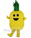Pineapple Fruit Mascot Costume Cartoon	