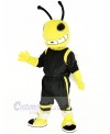 Yellow Hornets Mascot Costume Insect Animal