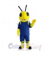 Hornet mascot costume