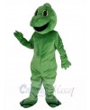 Lizard mascot costume