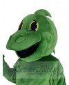 Lizard mascot costume