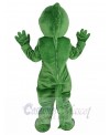 Lizard mascot costume