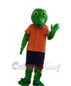 Lizard mascot costume