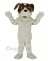 Saint Bernard Dog Mascot Costume Cartoon