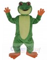 Tree Frog mascot costume