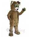 Bear mascot costume