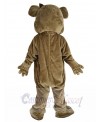 Bear mascot costume