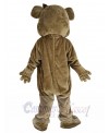 Bear mascot costume