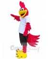 Roadrunner Bird mascot costume