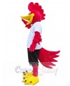 Roadrunner Bird mascot costume