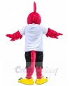 Roadrunner Bird mascot costume