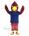 Red Cardinal Bird in Dark Blue Shirt Mascot Costume