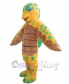 Turtle mascot costume