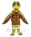 Turtle mascot costume