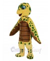 Turtle mascot costume