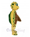 Turtle mascot costume