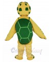 Turtle mascot costume