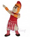 Knight mascot costume