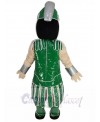 Spartan Knight mascot costume