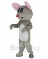 Mouse mascot costume