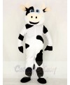 Realistic Cute Cow Mascot Costume School 