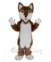 Wolf mascot costume
