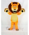 Funny Orange Lion Adult Mascot Costume School	