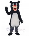 Bear mascot costume
