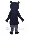 Bear mascot costume