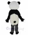 Panda mascot costume