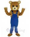 Bear mascot costume