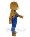 Bear mascot costume