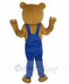 Bear mascot costume