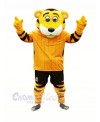 Roary Tiger Mascot Costume Cartoon	