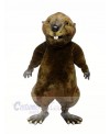 High Quality Otter  Mascot Costumes	