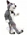 Cute Grey Dog Mascot Costumes