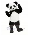 Cute Panda Mascot Costumes