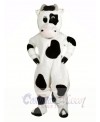 Funny Black and White Cow Mascot Costumes Animal