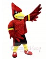 College Cardinal Mascot Costumes