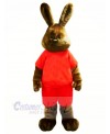 Happy Brown Rabbit Mascot Costumes Adult