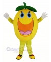 Cute Round Orange Mascot Costume