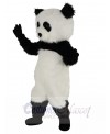 Panda mascot costume