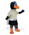 Skyhawk mascot costume