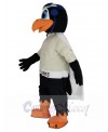 Skyhawk mascot costume