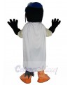 Skyhawk mascot costume