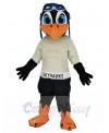 Skyhawk mascot costume