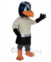 Skyhawk mascot costume